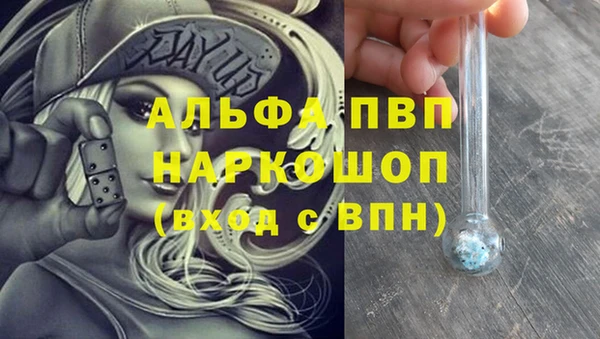 твердый Аркадак