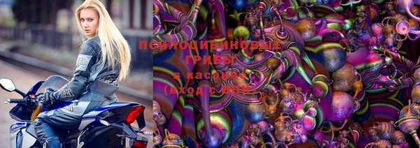 твердый Аркадак