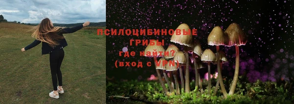 гашишное масло Михайлов