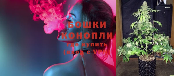 твердый Аркадак