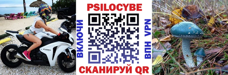 Галлюциногенные грибы прущие грибы  Пугачёв 